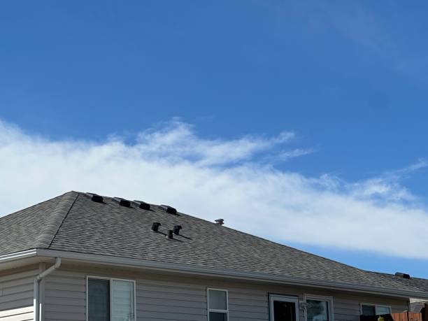 Best Roofing for New Construction  in Waynesville, MO