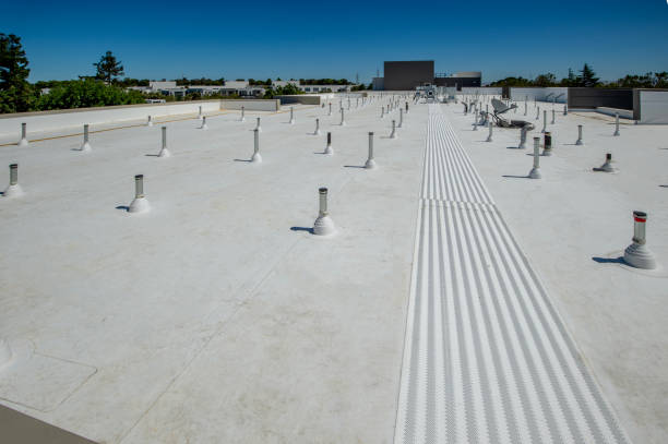 Best Sheet Metal Roofing  in Waynesville, MO